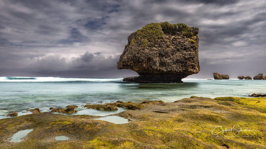 Bathsheba Beach, Gilbert Photography