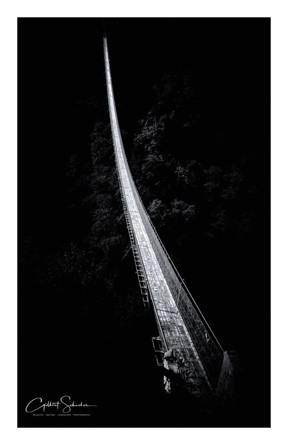 Brücke im Dunkeln, Gilbert Photography