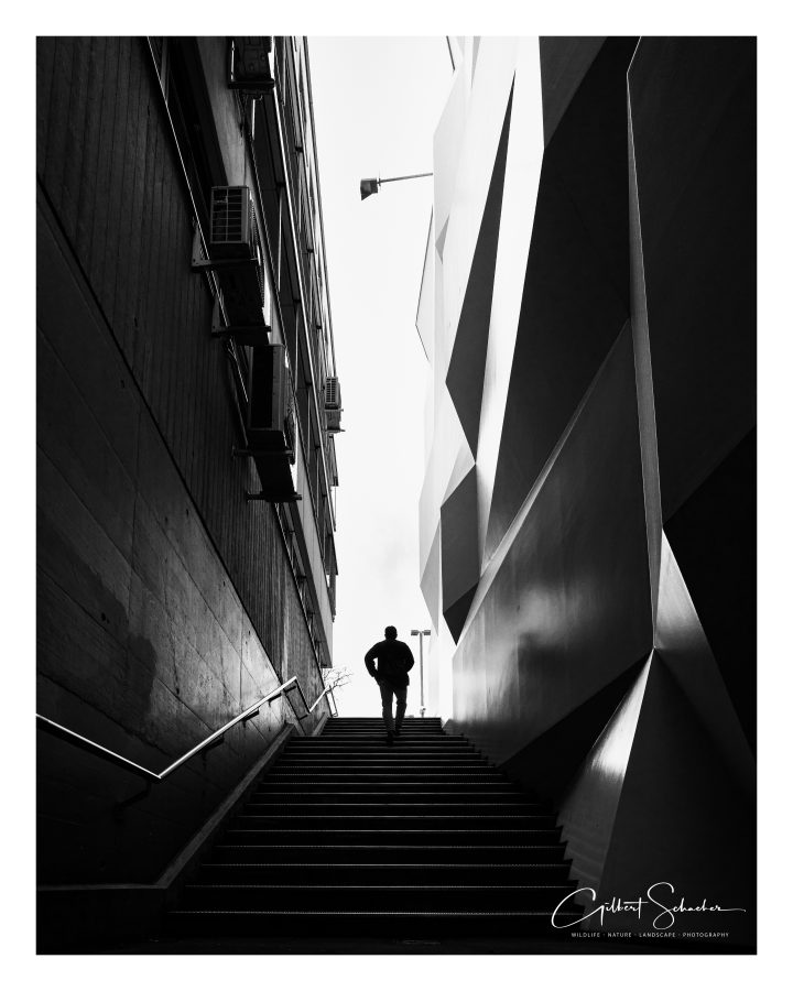 Luzern Uni, Gilbert Photography