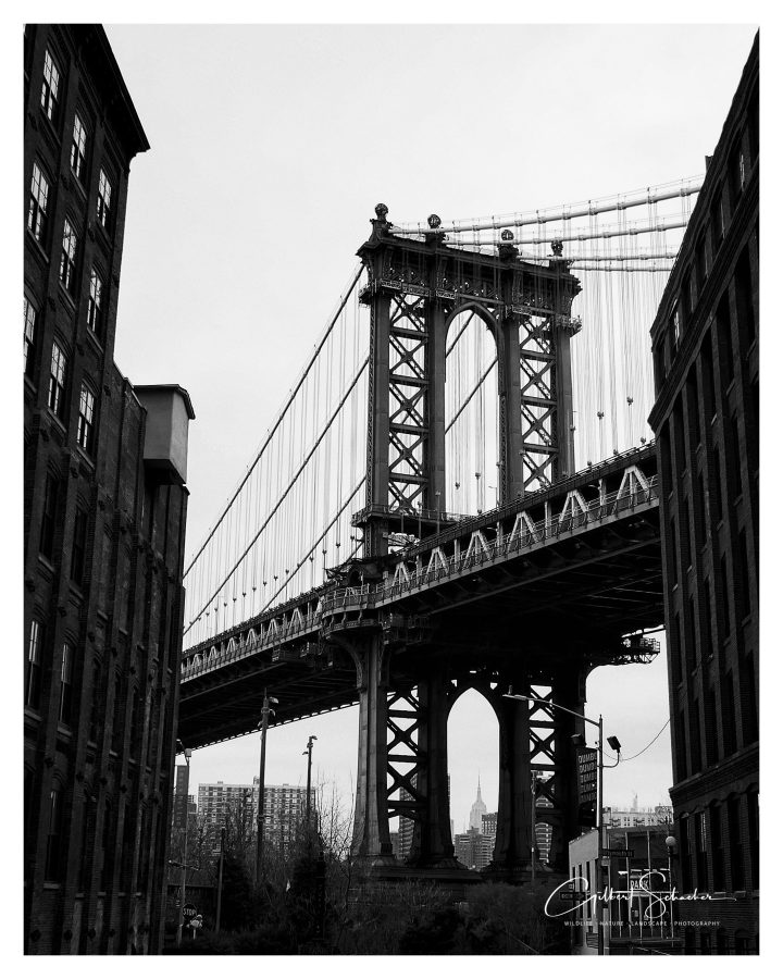 NY Brookly Bridge 2, Gilbert Photography