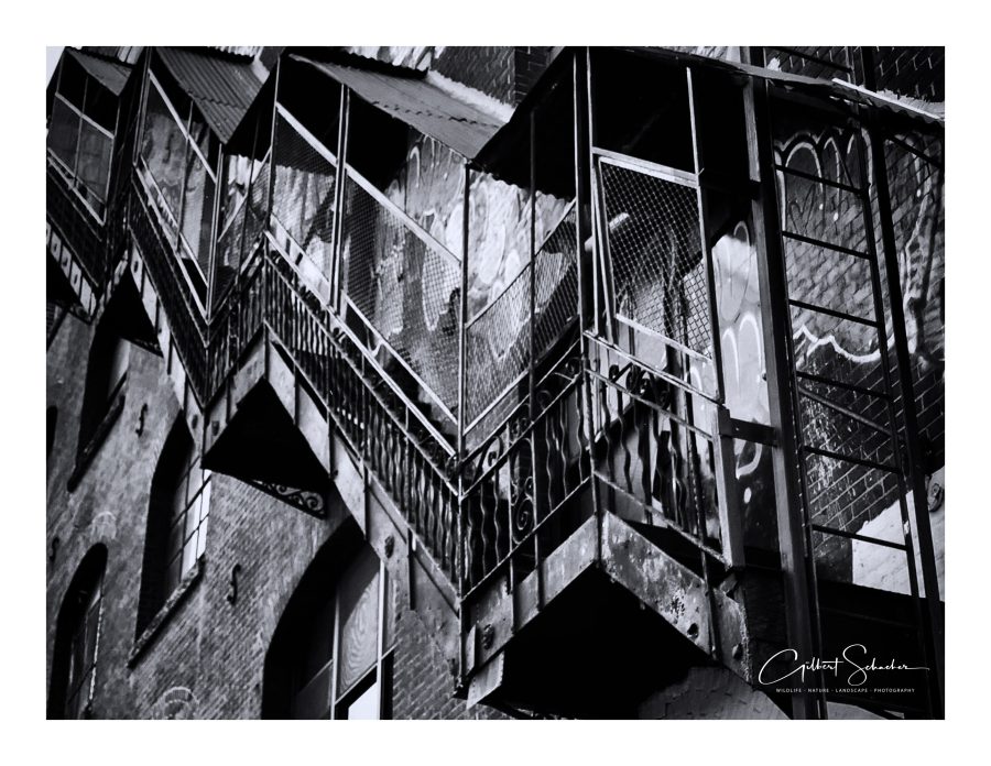 NYC Eiserne Treppe, Gilbert Photography