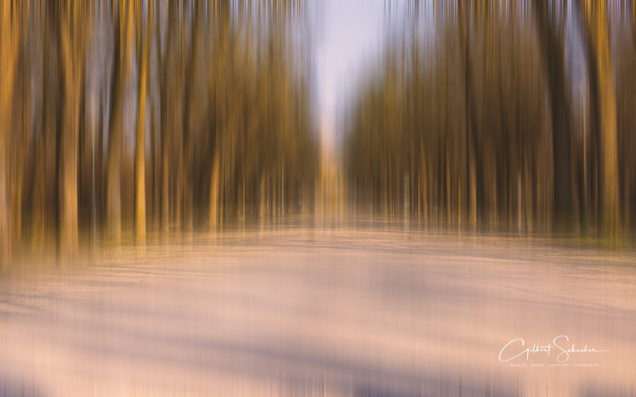 ParcoDucale Parma new, Gilbert Photography