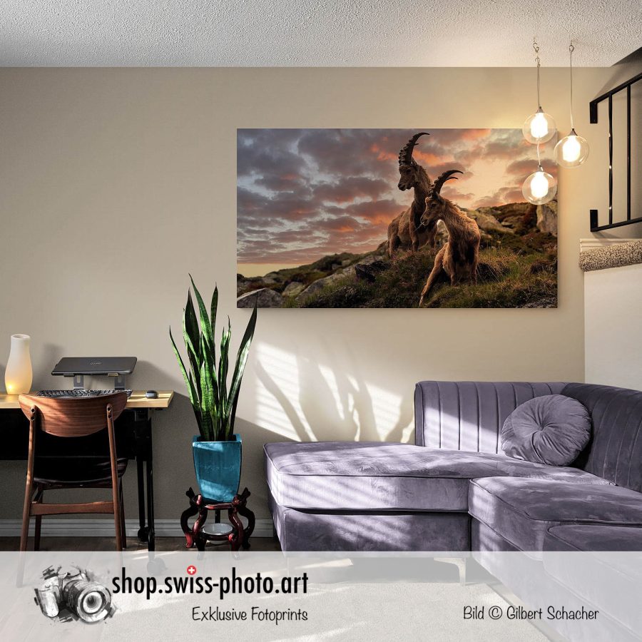 New Photo-Prints, Gilbert Photography