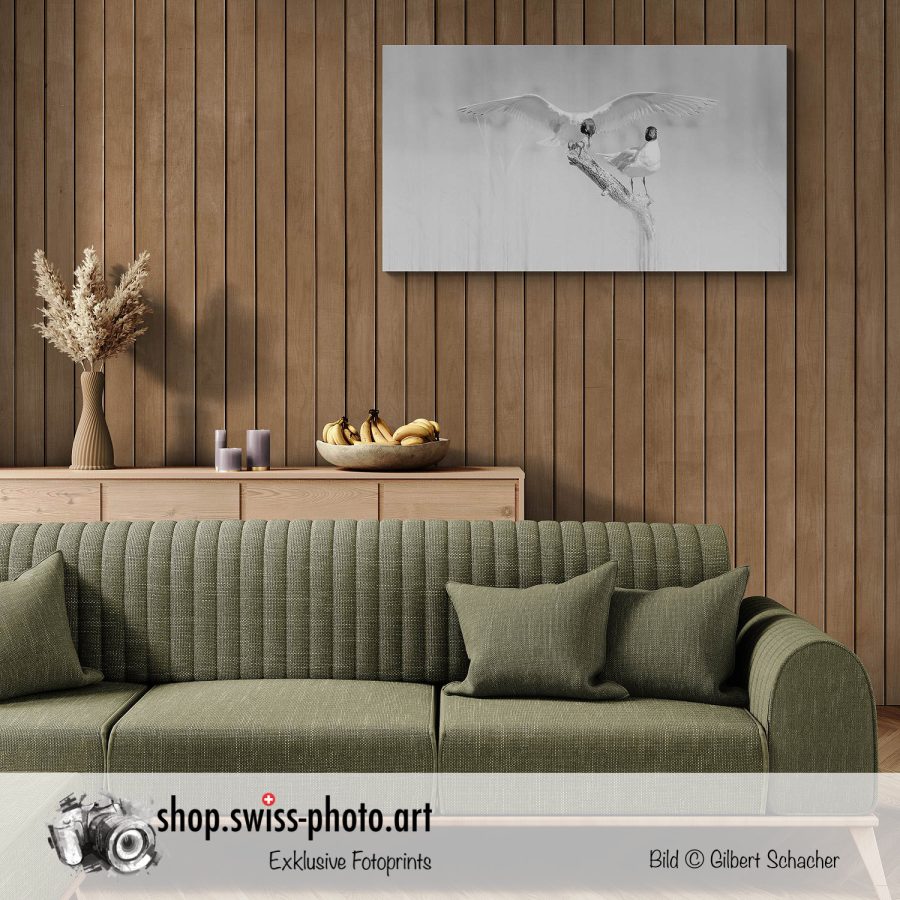 New Photo-Prints, Gilbert Photography