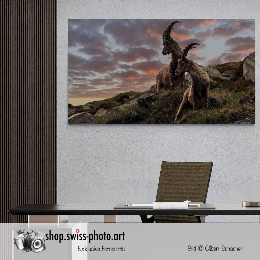 New Photo-Prints, Gilbert Photography