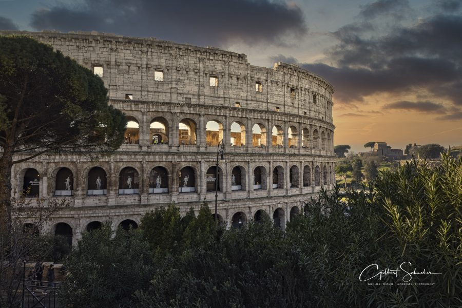 Rom Kolosseum, Gilbert Photography