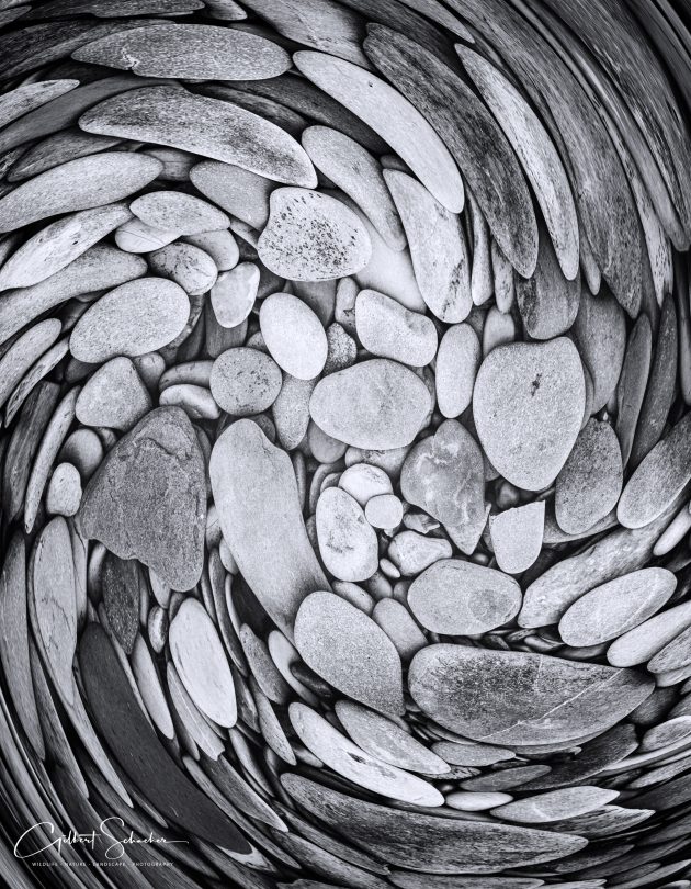SteineCreative -1, Gilbert Photography