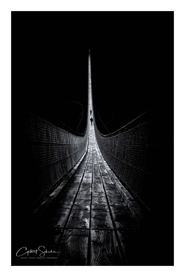 Weg ins Licht, Gilbert Photography