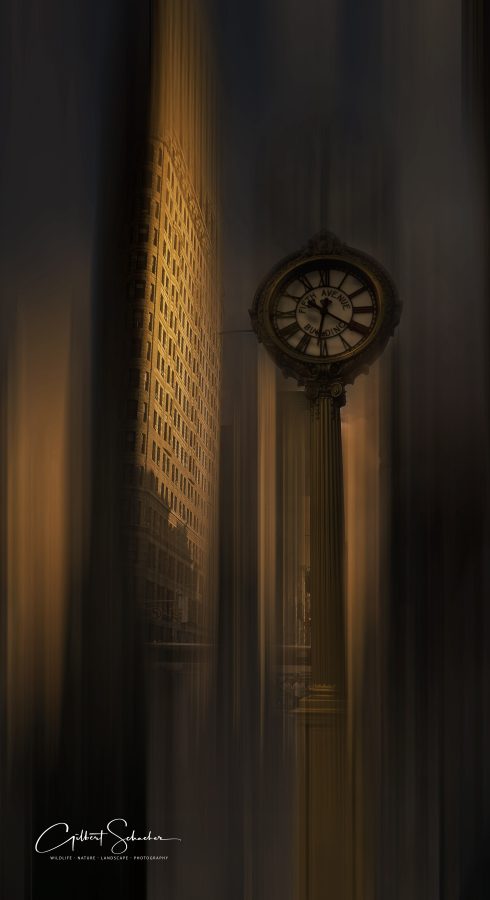 Zeit an der Fifth Avenue, Gilbert Photography